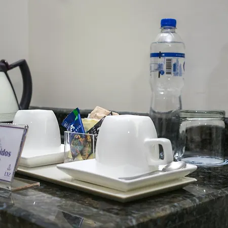 Lyz Business Hotel-2